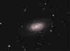 NGC2903_29Dec08_web.jpg (132315 bytes)